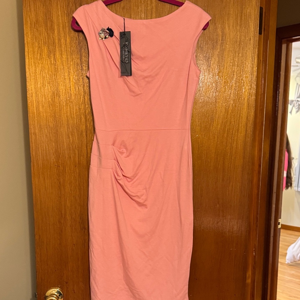 Homeyee Women’s Pink Sheath Dress with Draped Waist